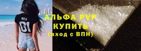 гашик Арсеньев