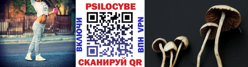 Псилоцибиновые грибы Psilocybine cubensis  Светлоград 